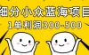 细分小众蓝海项目，一单利润300-500，每月收入稳定4w+