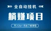 全自动挂机项目 月入3w+ 真正躺平项目 不吃电脑配置 当天见收益