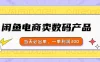闲鱼电商卖数码产品，日入1000＋，看完即可实操