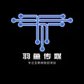 羽鱼互联网轻创