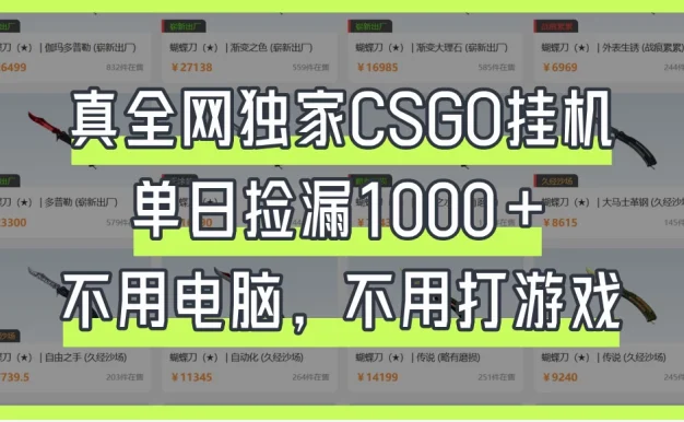 真全网独家CSGO挂机，单日捡漏1000+，不用电脑，不用养号