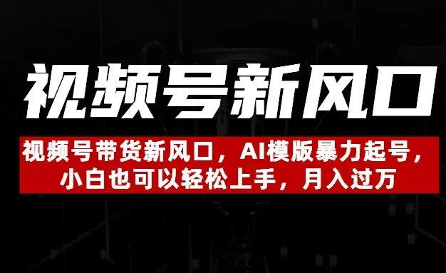 视频号带货新风口,AI模版暴力起号,小白也可以轻松上手,月入过万
