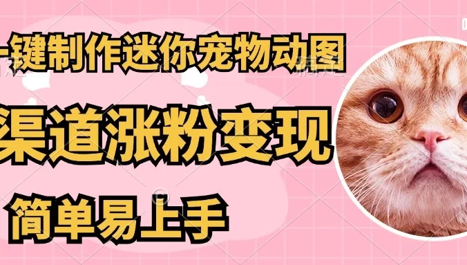 AI搬砖一件制作超迷你宠物图，5分钟一个成品，多渠道引流涨粉变现，简单易上手，保姆级教程