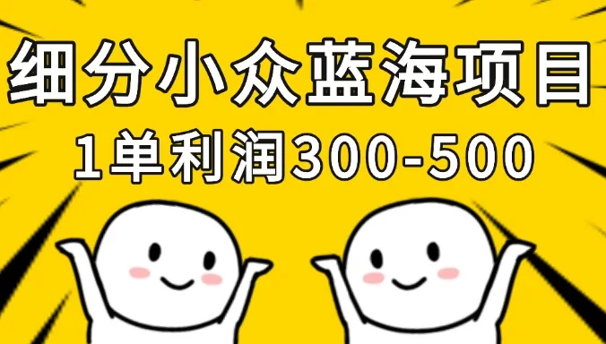细分小众蓝海项目,一单利润300-500,每月收入稳定4w+