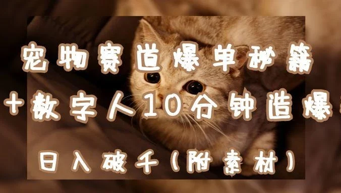 宠物赛道爆单秘籍:AI+数字人10分钟造爆款,日入破千