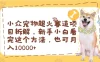 小众宠物超火赛道项目拆解，新手小白看完这个方法，也可月入10000+