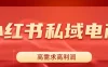 小红书私域电商，做了即可出单，一天利润1000＋