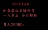 2025年度最新闲鱼虚拟店铺项目一人多店 小白轻松月入20000+
