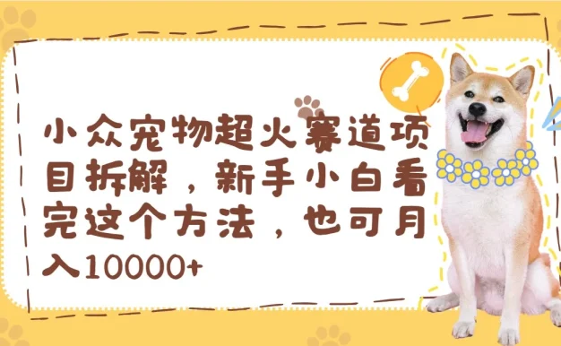 小众宠物超火赛道项目拆解,新手小白看完这个方法,也可月入10000+