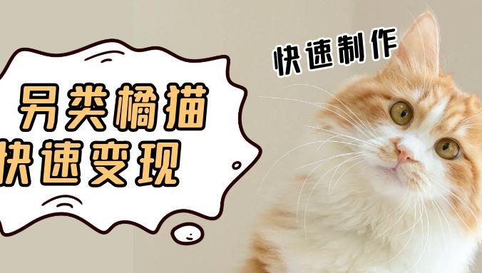 5个作品涨粉30万！AI+江湖橘猫视频制作，小白轻轻松松上手，条条爆款，条条变现，单日就能收益