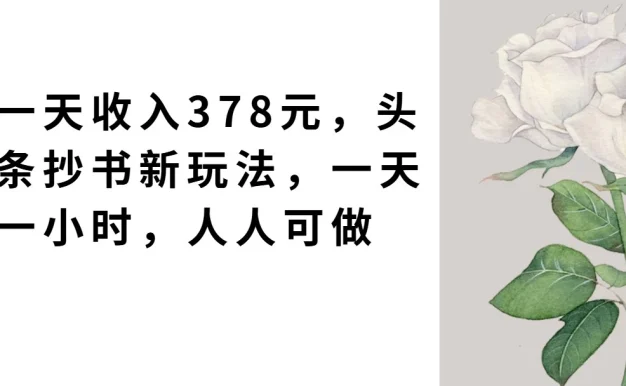 一天收入378元,头条抄书新玩法,一天一小时,人人可做
