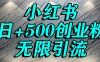 小红书无限引流创业粉，单人操作日引500+精准创业粉