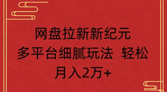 网盘拉新新纪元多平台细腻玩法 轻松月入2万+