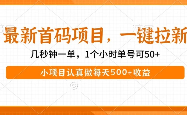 小项目认真做每天500+收益