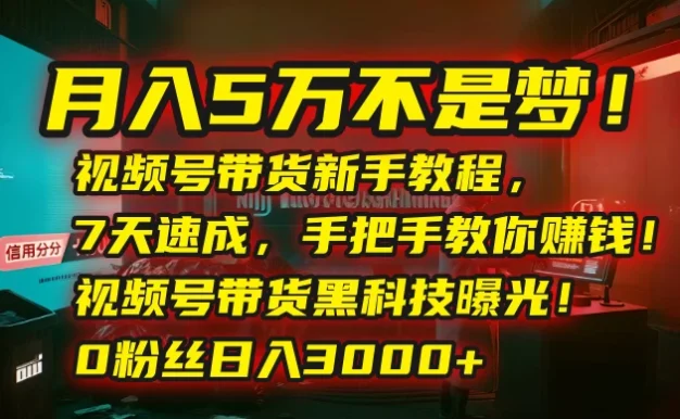💰月入5万不是梦!视频号带货新手教程,7天速成,手把手教你赚钱!视频号带货黑科技曝光!0粉丝日入3000+