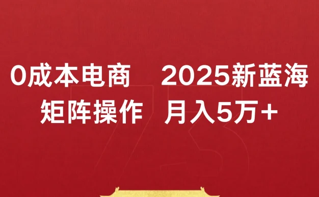 0成本电商2025新蓝海矩阵操作 月入5万+