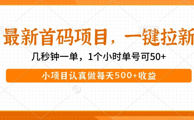 小项目认真做每天500+收益
