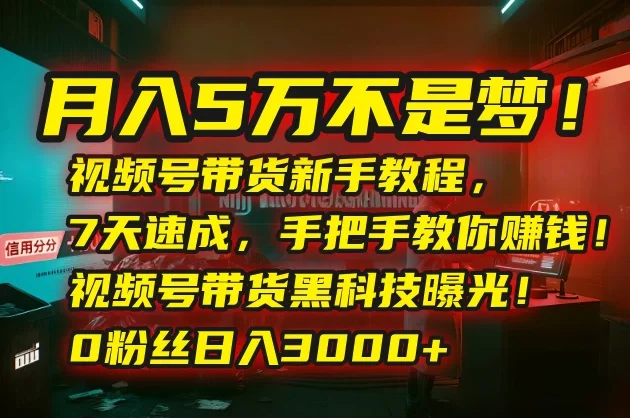 💰月入5万不是梦!视频号带货新手教程,7天速成,手把手教你赚钱!视频号带货黑科技曝光!0粉丝日入3000+