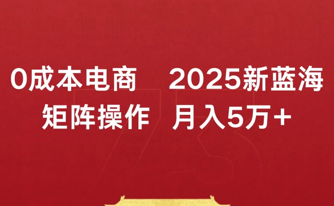 0成本电商2025新蓝海矩阵操作 月入5万+