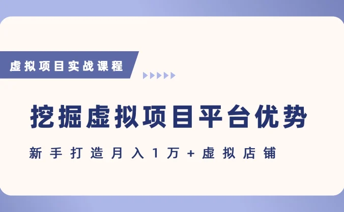 抓住虚拟项目各平台优势，新手轻松月入5万+（给出具体建议）