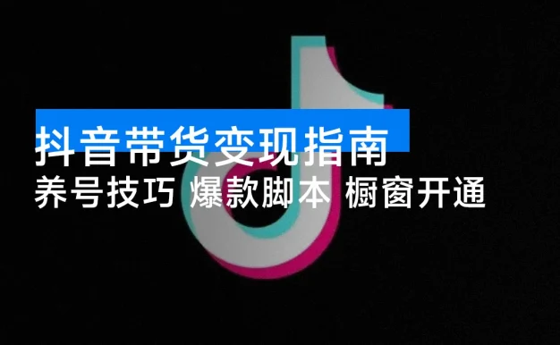 抖音带货变现指南:养号技巧 / 爆款脚本 / 橱窗开通,快速起号日更 10 条