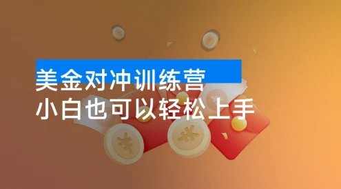 美金对冲日盈利 100+ 美刀,长期稳定,小白也可以轻松上手,稳赚不赔【杰哥解密版】