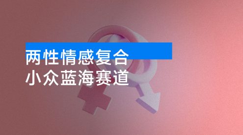 小众蓝海赛道,简单且暴利,市场需求量大,一单利润500-2000,未来几年可持续深耕的项目