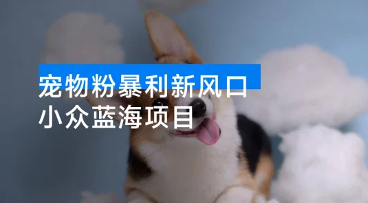 宠物粉暴利新风口 0 基础小白也能靠这套玩法月入过万