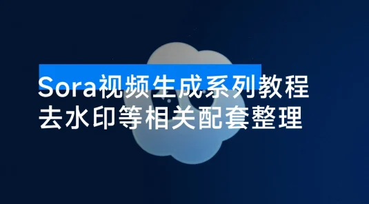 Sora 视频生成系列教程 + 去水印等相关配套整理