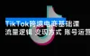 大光 · TikTok 跨境电商基础课，抢占 TikTok 跨境新蓝海：流量逻辑+变现方式+账号运营，新手月入 1 万+