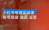 小红书电商实战课：账号搭建，选品测款，流量运营，实操月利润 3 万+