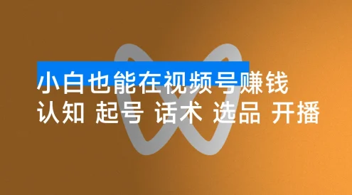 小白也能在视频号赚钱:认知、起号、话术、选品、开播到投放全链路运营
