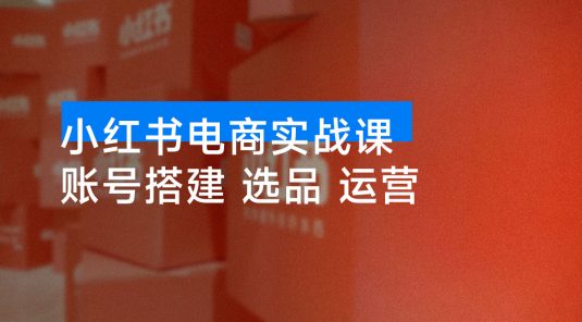 小红书电商实战课：账号搭建，选品测款，流量运营，实操月利润 3 万+