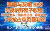 黑帽与灰帽 SEO 实战的野路子教程：泛目录秒收，蜘蛛池搭桥，霸屏截流，7 天抢占首页暴利词