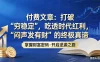 付费文章：《打破 “穷稳定”，吃透时代红利，“闷声发大财”的终极真谛》